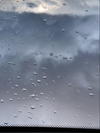 Rain Copyright 2025 Melissa Conkey