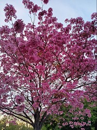 Jesus: Not a religion. Jesus: A relationship. Copyright 2025 By: Melissa Conkey