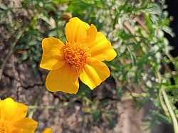 copyright 2026 by Melissa Conkey