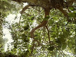 copyright 2026 by Melissa Conkey