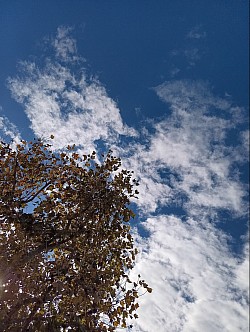 copyright 2026 by Melissa Conkey